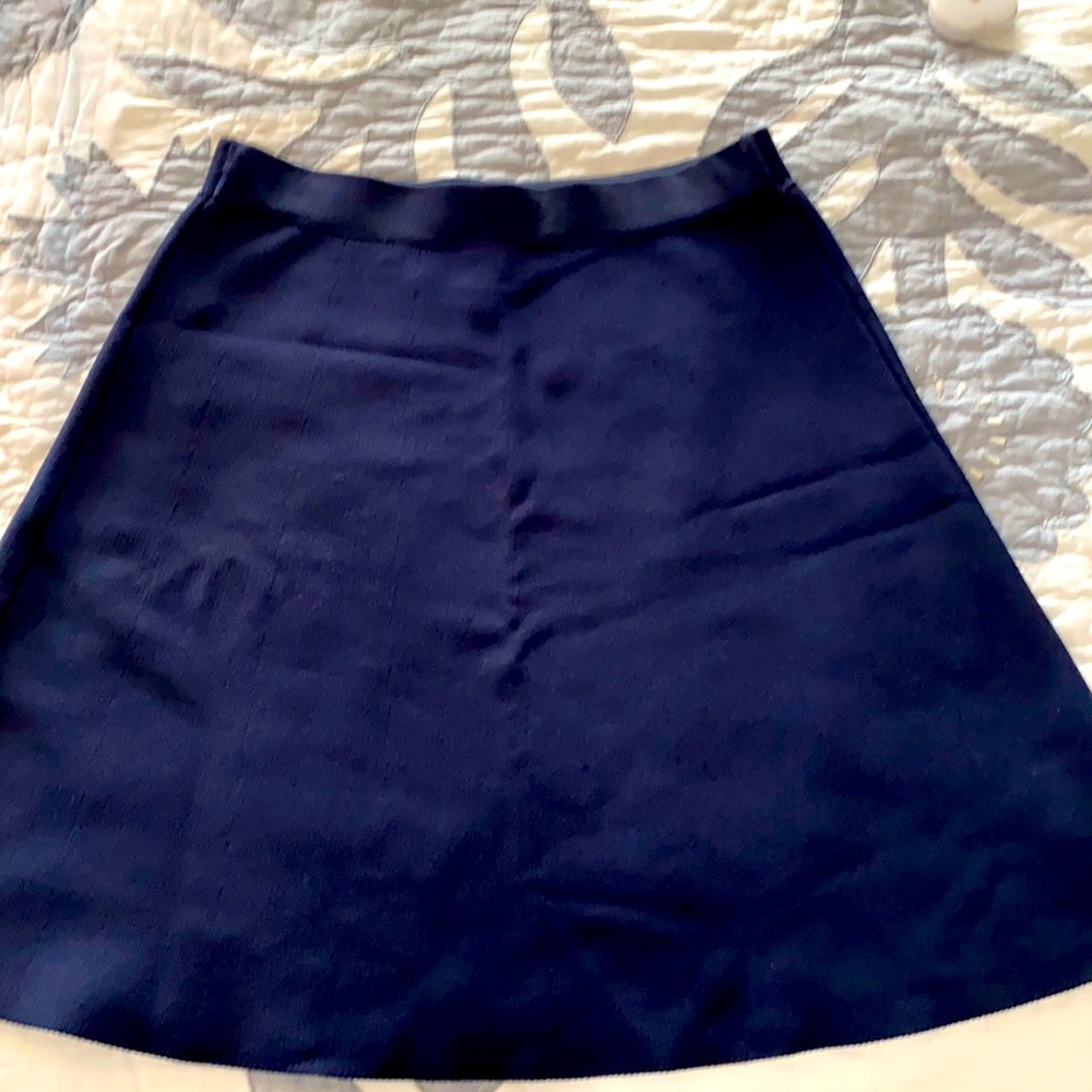 CAbi navy skirt